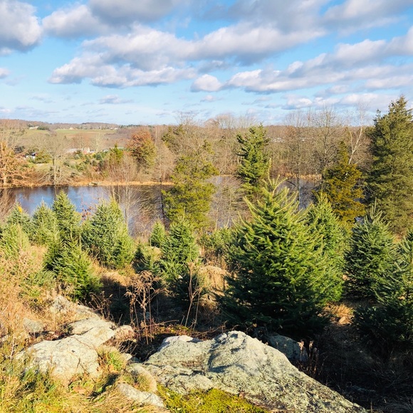 sschatt